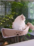 Монетный дуэт Joycat лодка на поллун
