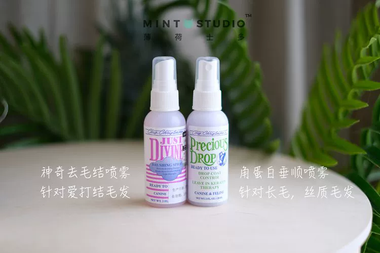 Mint Stodor giống như thay mèo - Cat / Dog Beauty & Cleaning Supplies