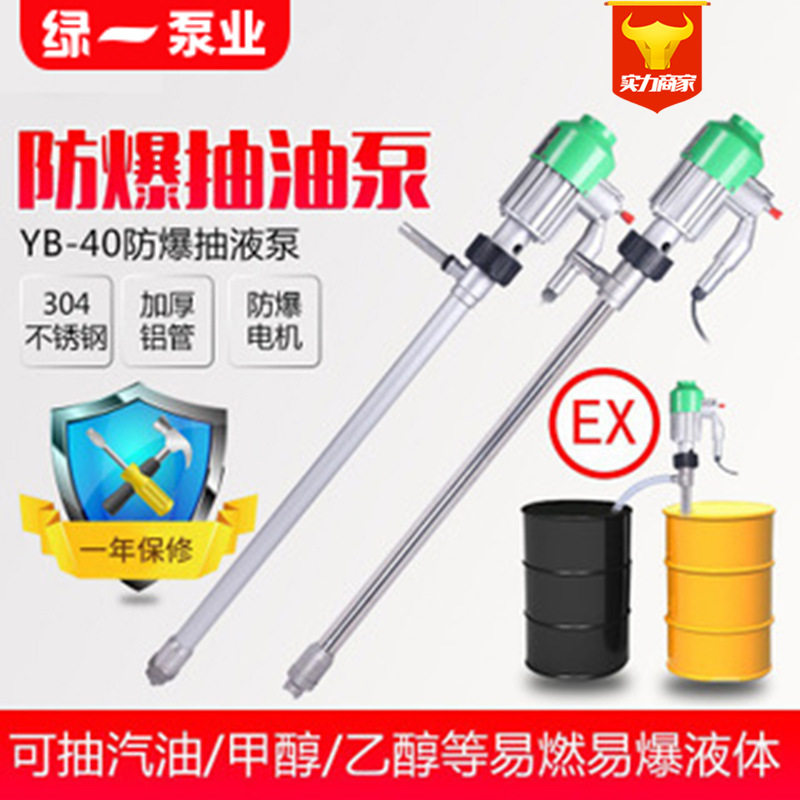 220V electric explosion-proof oil pump 304 stainless steel tube oil drum pump high-power gasoline pump portable oil pump