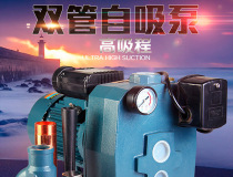 Factory direct sales water supply double-pipe self-priming pump ultra-high suction agricultural irrigation jet pump
