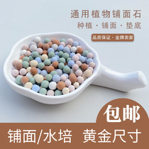 Multi-fleshy paving stone colored ceramsite flower with cushion bottom potted breathable hydroponic flower nutrient soil green plant ceramsite ball