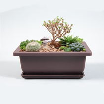 Explosions plastic imitation purple sand fleshy flowerpot rectangular desktop landscape basin stone flower PP bonsai basin with tray