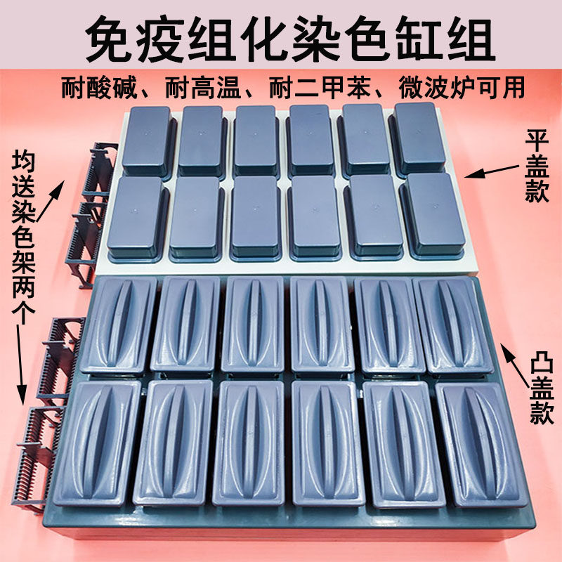Immunocombinatorial antigen repair box combined dyeing cylinder plastic dyeing cylinder group 24 pieces of plastic dyeing rack