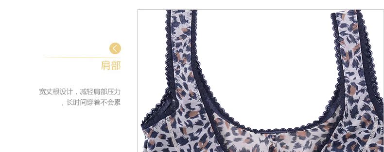 Body FY5081 - Ref 666821 Image 16