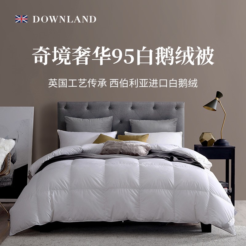 DOWNLAND wonderland imported 95 white goose down quilt down quilt thickened autumn and winter quilt 100 winter quilt core high luxury