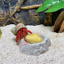 Hermit crab sponge moisturizing anti-drowning Greek Mediterranean sponge no odor hermit crab edible