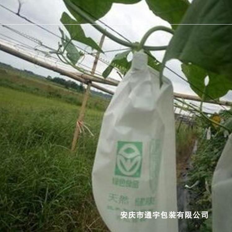 New section melon bag Insect Repellent Net Vegetable Tomato Silgua Melon melon bagging special bag to protect fruit bag pomegranate fruit