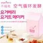 Hàn Quốc nhập khẩu sữa chua không kết nối máy làm sữa chua Máy lên men sữa chua làm máy làm sữa chua nhỏ đông lạnh - Sản xuất sữa chua 