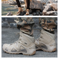 LOWA hiking hiking shoes GORE GTX men and women with the same outdoor top layer cowhide waterproof breathable combat boots