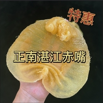 (Hon Ri Lines) Zhengzong Zhanjiang Zhanjiang Red Mouth Tail Stock Preferential Old Goods Thick Meat Moon Gum Supernourishing