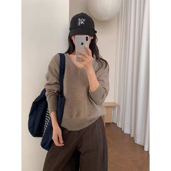 Casual style v-neck raccoon sweater sweater 2025 autumn and winter new korean style versatile long-sleeved top