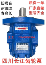 Sichuan Yangtze River Gear Pump CBY2025-1TR CBY2016-1FR CBY2040-2TR -1FL hydraulic pump