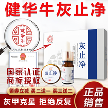 Jianhua cattle Gray Zhijing Jianhua cattle