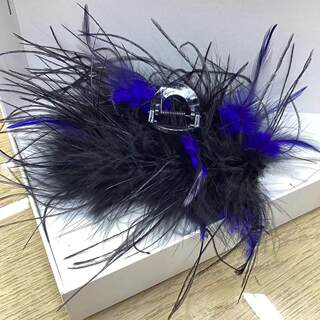 Feather clamp shark clip for hair on the back of the head