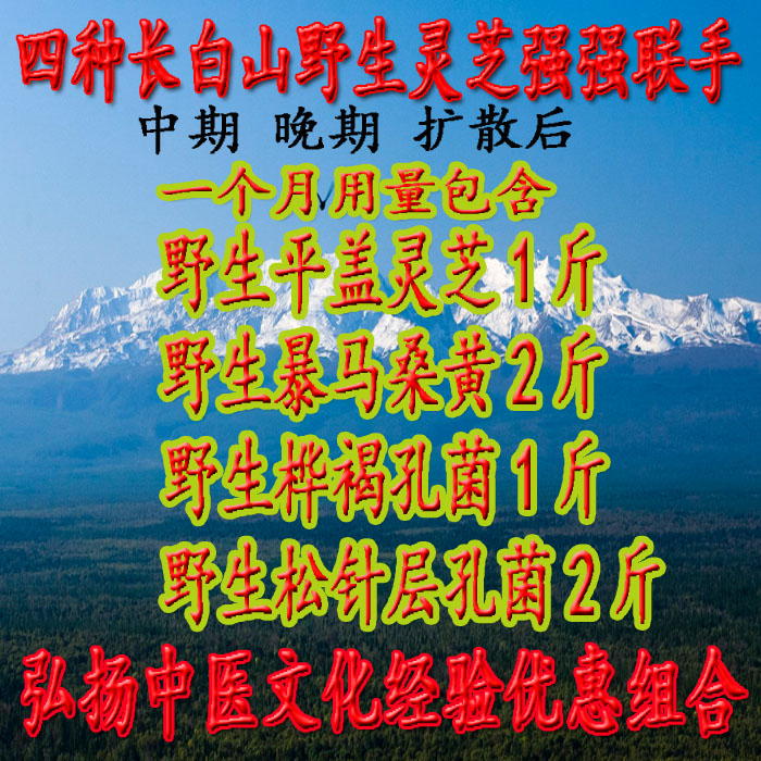 Changbai Mountain wild Ganoderma lucidum late super-grade Phellinus glabrata Ganoderma lucidum Obtella obliquus Tongrentang pine needles