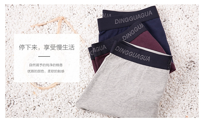 3 topping dưa dưa đồ lót nam boxer eo cotton thoáng khí gợi cảm bốn góc U đồ lót thanh niên quần sịp lưới nam