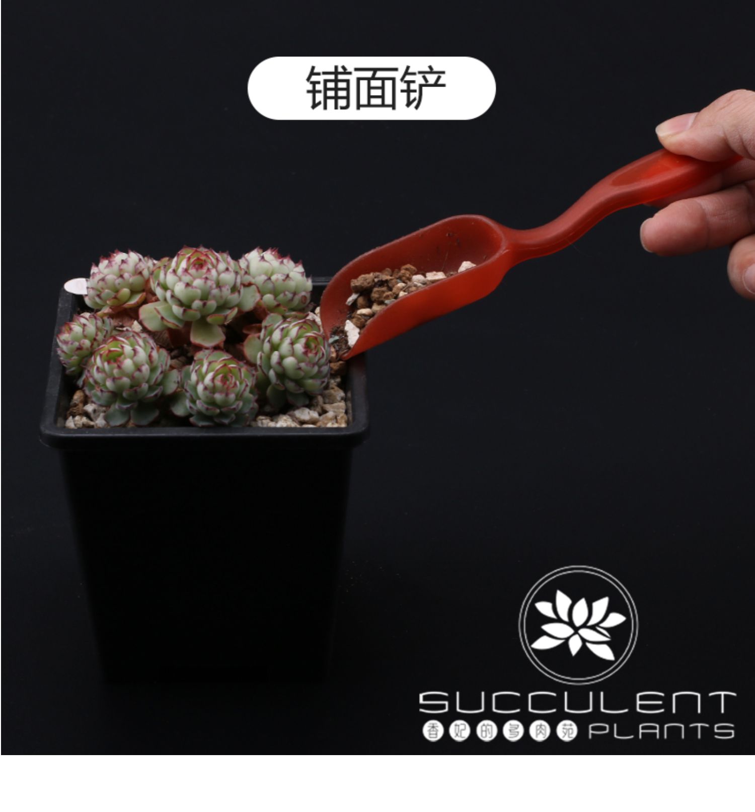 Dụng cụ làm vườn Dụng cụ trồng cây đa nhỏ cong miệng ấm đun nước ống xẻng thổi bóng bình xịt nước tưới cây