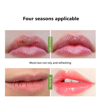 Vitamin E Sleep Lip Oil Olive Oil Colorless Moisturizing Lip