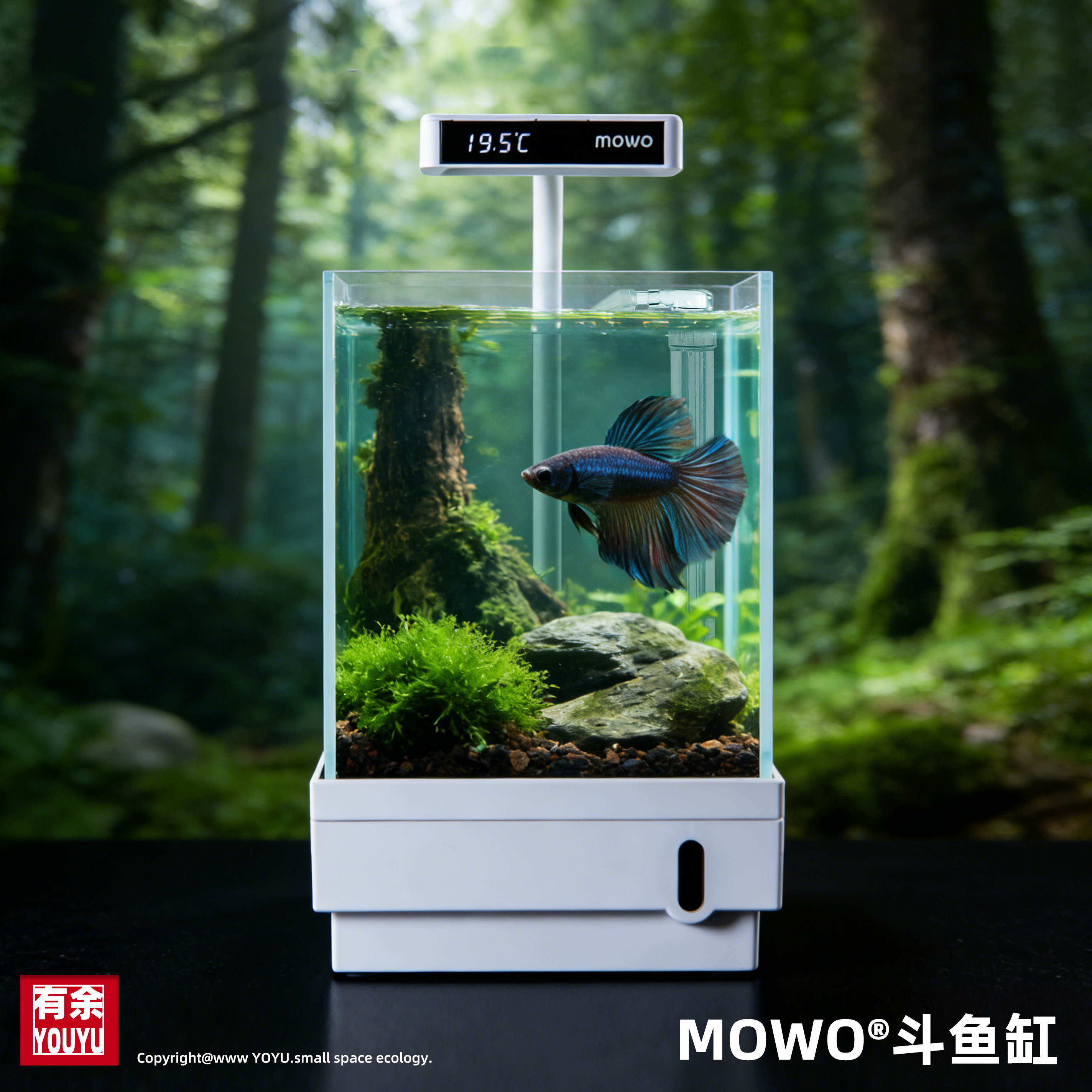 MOWO 第2世代 インテリジェント定温底面フィルター酸素供給ヒーター一体型照明付きベタ水槽卓上超透明ガラス水槽