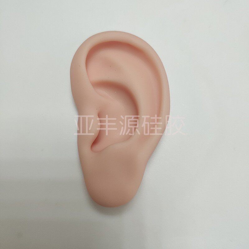 仿真耳朵仿真人耳朵影视道具 耳朵针灸穴位耳疗练习耳饰道具