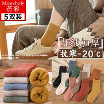 Socks female stockings autumn and winter plus velvet thickened warm postpartum moon socks towel socks sleep socks winter Terry
