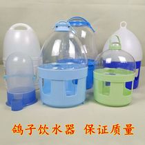 Pigeon supplies utensils carrier pigeon automatic drinker pigeon drinking kettle large thickened self-service bucket