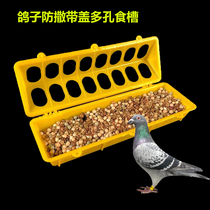 Pigeon trough anti-splashing anti-splashing pigeon supplies equipment rectangular with cover pigeon porous plastic trough