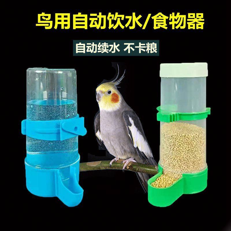 Bird with water drinker Automatic feeder feed water Drinking water Drink parakeet Cockatoo Food Box Feeding Birds Food Jars Birds supplies-Taobao