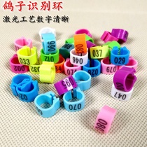 Pigeon foot ring identification ring serial number pigeon digital meat pigeon plastic snap ring marking foot ring simulation electronic ring