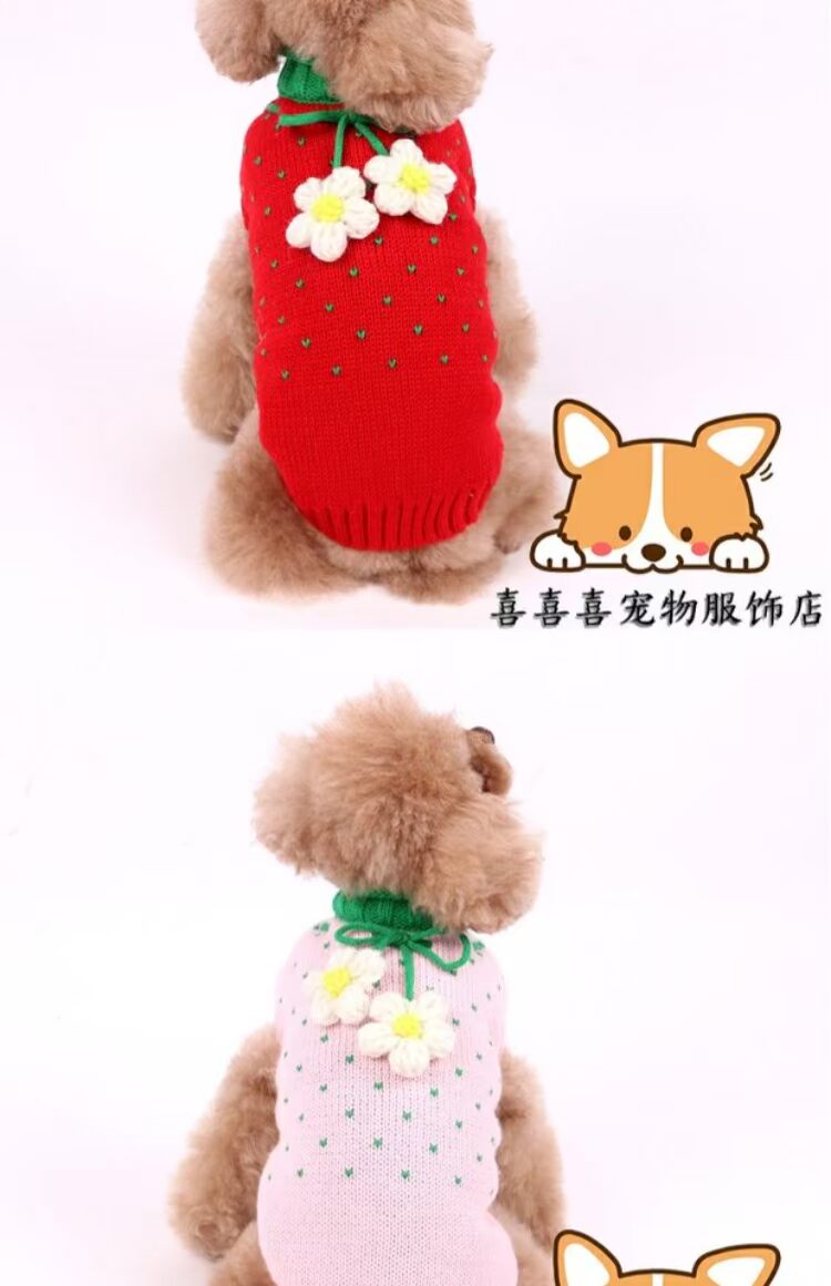 Dâu tây Áo len Pet Quần áo Teddy Bomeibi Gấu Mùa thu Mùa đông Chó nhỏ Chó con Chó Trang phục Vest - Quần áo & phụ kiện thú cưng áo dành cho chó con	