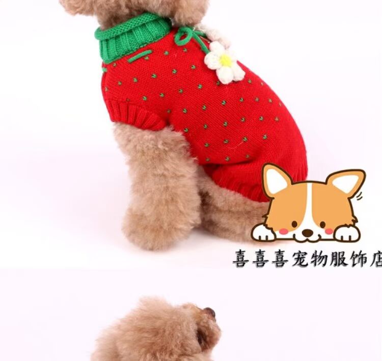Dâu tây Áo len Pet Quần áo Teddy Bomeibi Gấu Mùa thu Mùa đông Chó nhỏ Chó con Chó Trang phục Vest - Quần áo & phụ kiện thú cưng áo dành cho chó con	