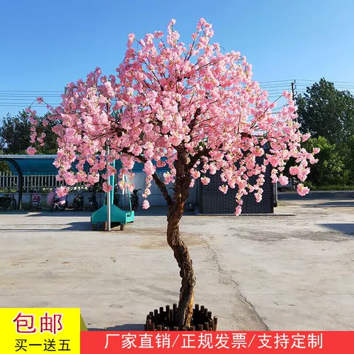 魃 魃 抡嬗 抡嬗 抡嬗 抡嬗 抡嬗 抡嬗 抡嬗 抡嬗 抡嬗 抡嬗 黾 黾 黾 黾 黾 饔; Дерево