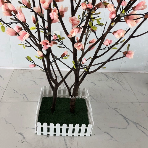 Моделирование магнолия дерево земля земля цветочные окна