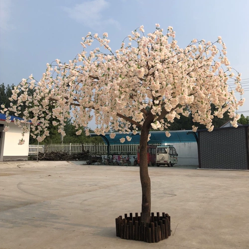 魃 魃 抡嬗 抡嬗 抡嬗 抡嬗 抡嬗 抡嬗 抡嬗 抡嬗 抡嬗 抡嬗 黾 黾 黾 黾 黾 饔; Дерево