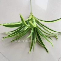 5 филиалов пианбиян