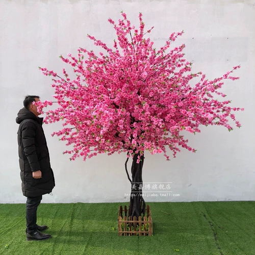 Моделирование персикового цветов крупно -кремневое цветет персика