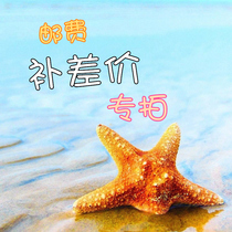 Supplement postage supplement 1 Yuan Special shoot How much you need to make up just how much to shoot