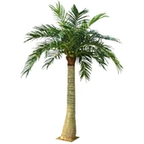 Моделирование кокосовое стекло материал FRP Большое масштабное энтузиазм деревьев