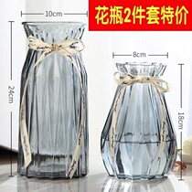 Sunflower vases flowers peony roses special glass vases round belly Korean hydroponic large-caliber flower arrangement living room