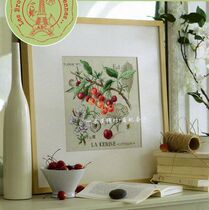 French imports DMC cross embroidered self-matching piece drawings Print DFEA shaded flowers --- cherry