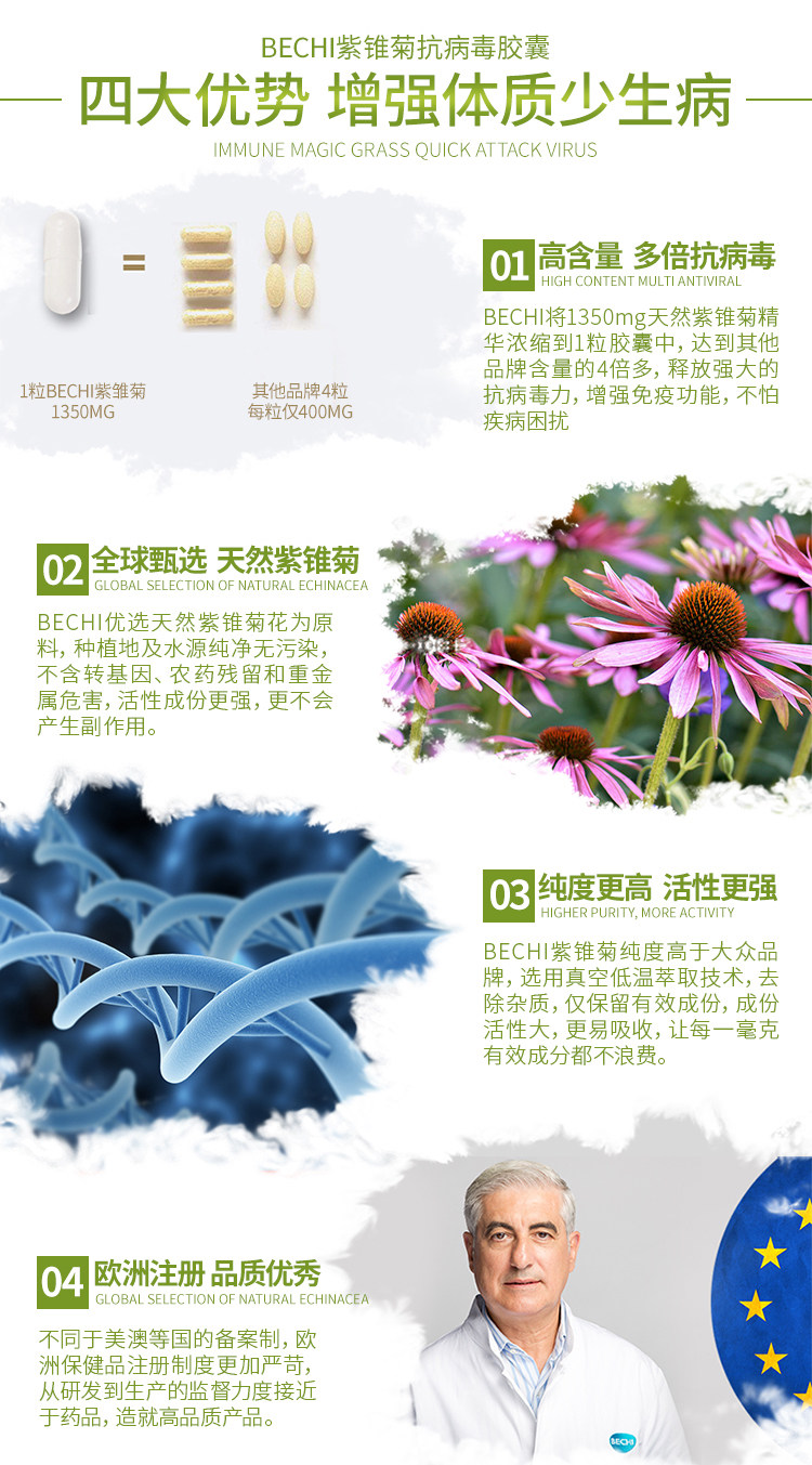 Purple Chrysanthemum details_07.jpg