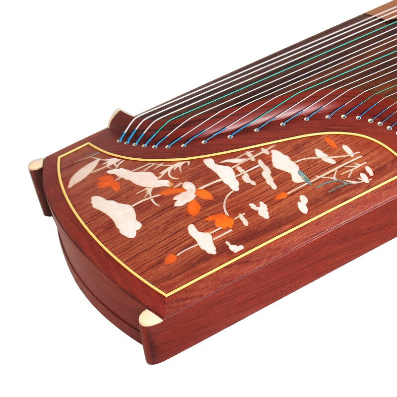 694L lotus mallow_1.jpg