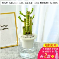 Lotus Bamboo [северный самооборотный бассейн] 1 раствор питательных веществ