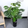 Товары от 苏馨花之语中趣专卖店
