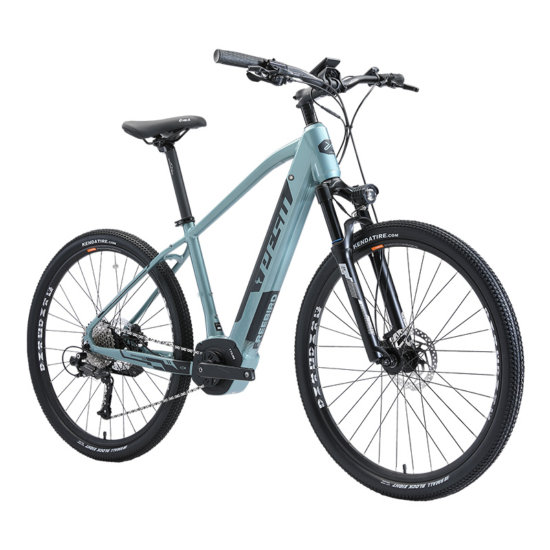 Double-speed travel PESU Bluebird E-Bike mid-torque intelligent leisure electric assist mountain bike