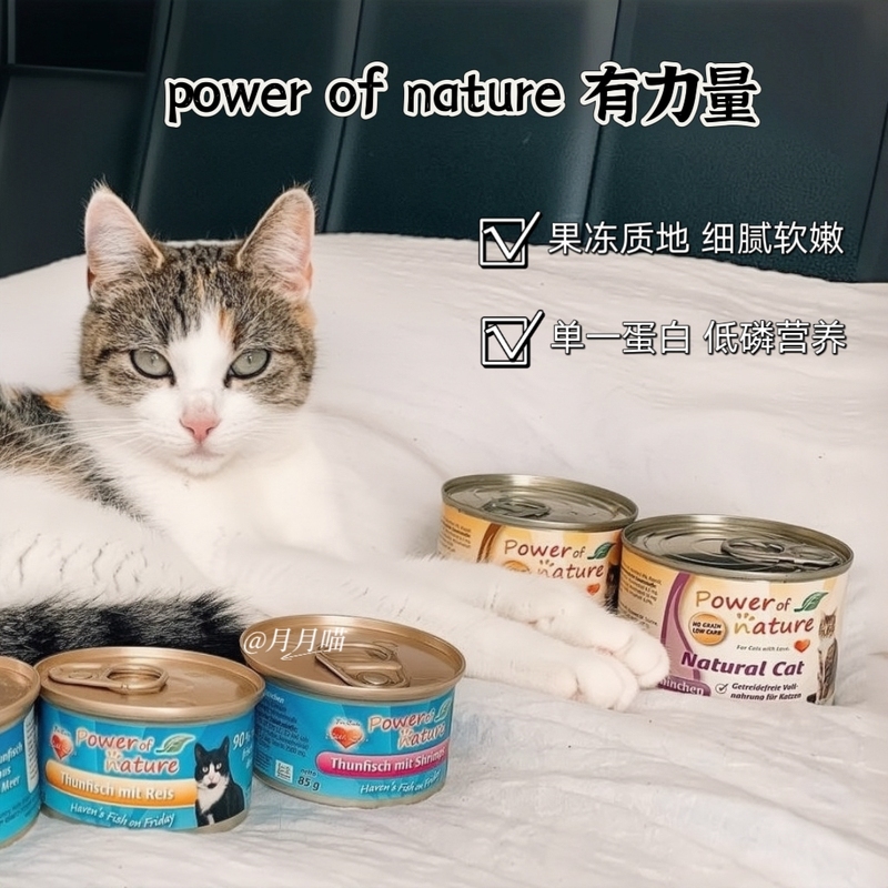 Yueyue Meow Power of Nature Is a Natural and Powerful Canned Wet Food Staple for Young Cats, Weekly Series