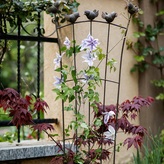 Retro ທາດເຫຼັກ clematis rose plant grid climbing pergola balcony flower stand screen bird flower insert bracket