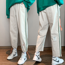  Sports pants womens 2020 new spring and autumn explosive style all-match high waist thin loose straight leg wide leg casual pants