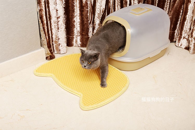 Tùy chỉnh mèo xả rác thảm chống băng đôi kiểm soát bảng cát giật gân chống thấm thêm góc lớn pad mèo xả rác nhà vệ sinh mèo - Cat / Dog hàng ngày Neccessities dụng cụ ăn uống cho chó	