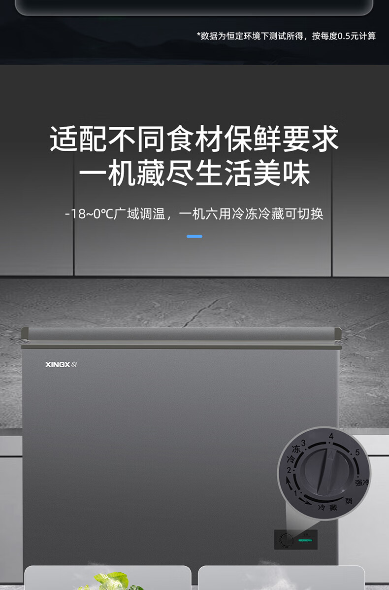 星星冷柜BD/BC-200R